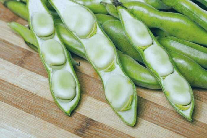 باقلا برای معده