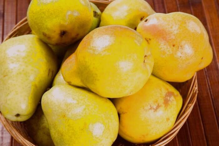 مصرف گلابی در بارداری 