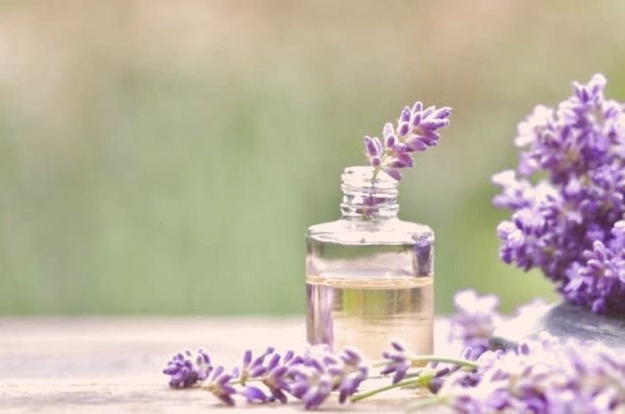 روغن استوخودوس