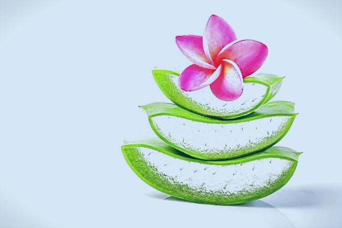 ماسک های آلوئه ورا