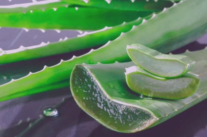 آلوئه ورا و زردچوبه