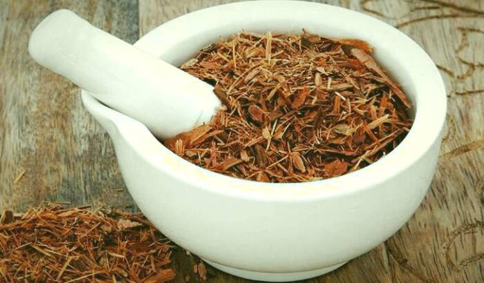 گیاه یوهمبین