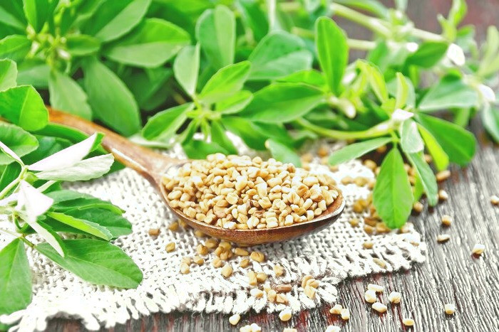 برگ شنبلیله