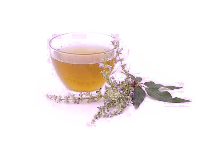 دمنوش رفع مشکلات گوارشی چای سبز