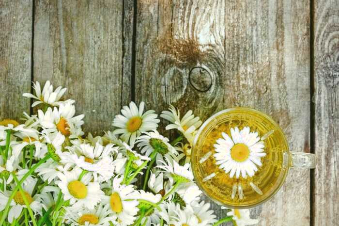 دم نوش های مفید در فصل پاییز دم نوش های پاییزی