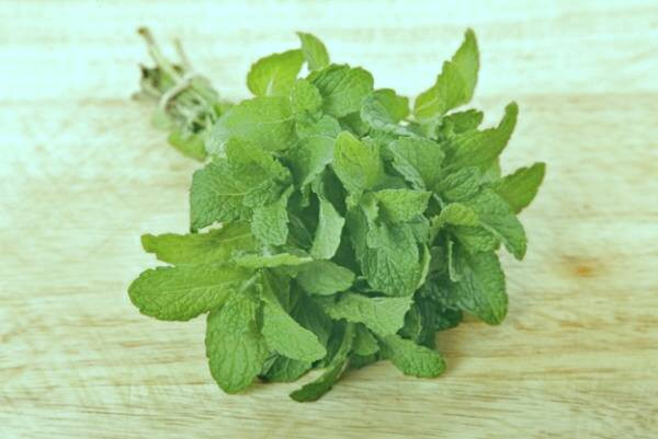 طرز تهیه تونر خانگی برای پوست خشک با نعناع تونر پوست نعناع