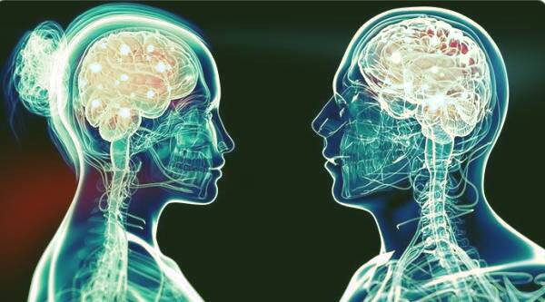 وزن مغز زنان و مردان