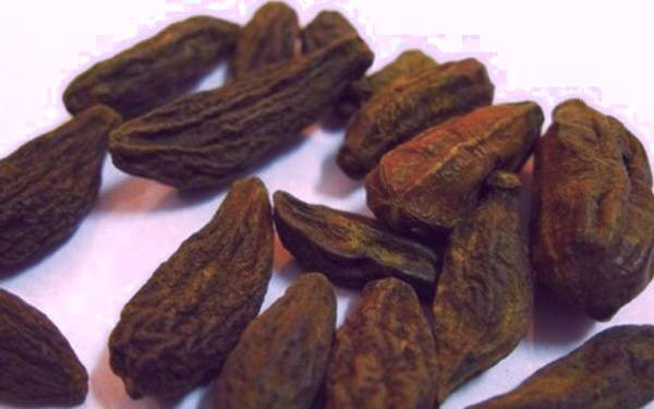 خاصیت هلیله سیاه