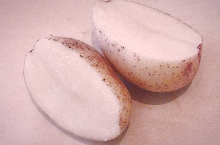 استفاده از سیب زمینی 