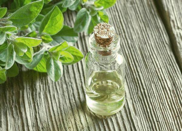 خاصیت روغن پونه