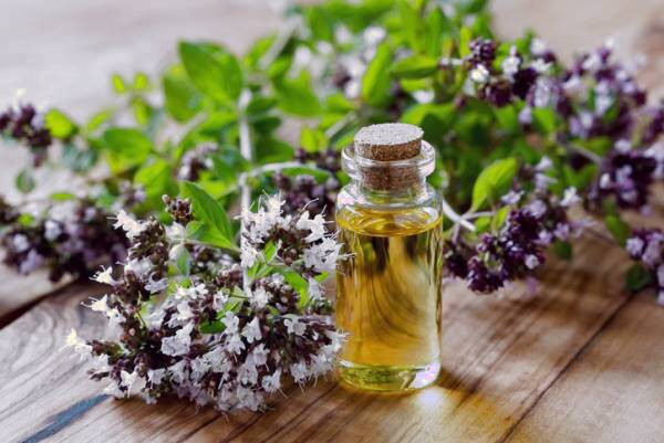 روغن پونه کوهی برای پوست