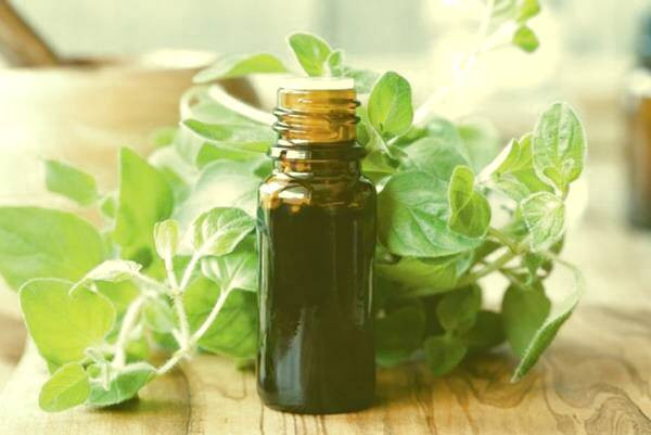 روغن اورگانو