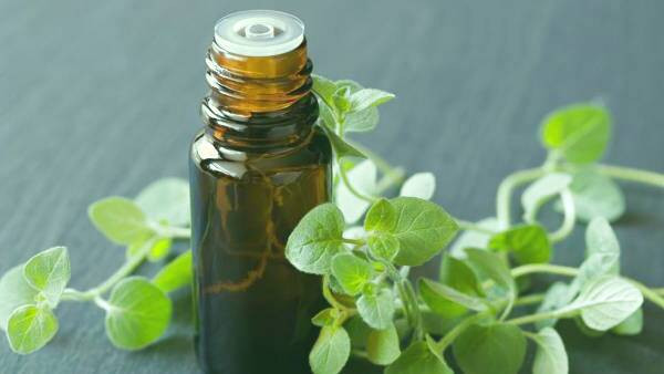 خواص روغن پونه برای پوست