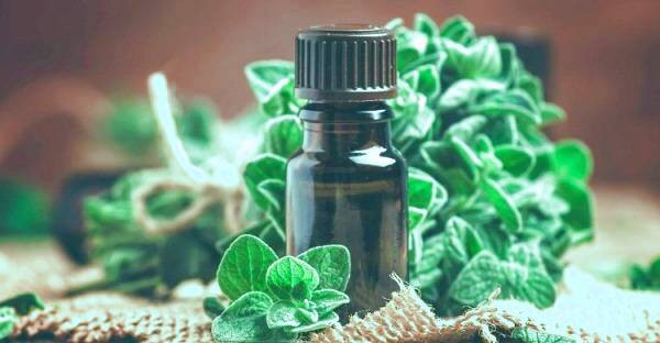 خواص روغن پونه