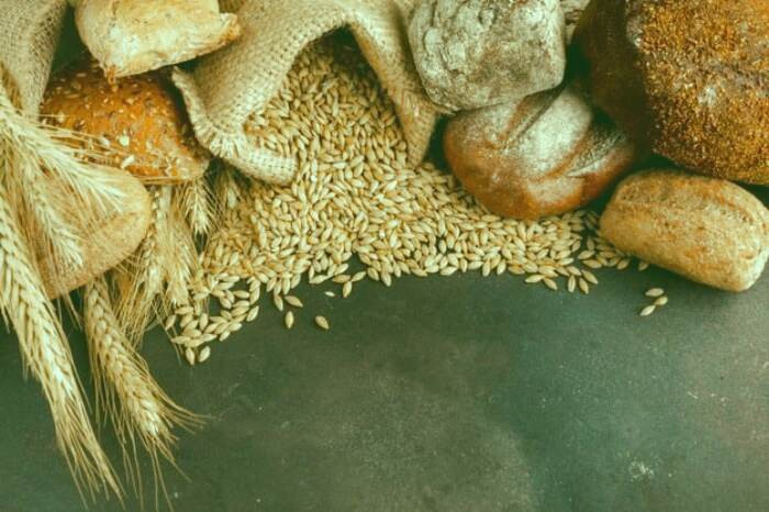 منابع تأمین پروتئین برای گیاه خواران پروتئین