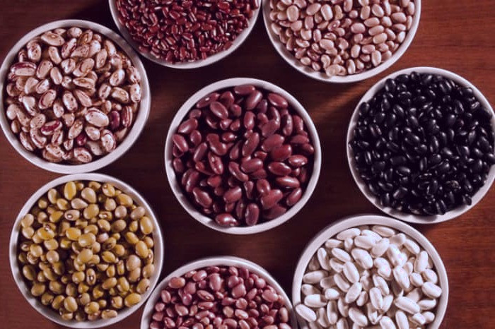 منابع تأمین پروتئین برای گیاه خواران پروتئین