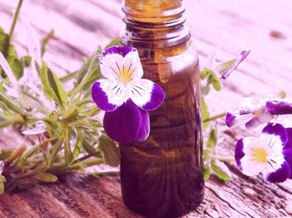 روش استفاده روغن بنفشه
