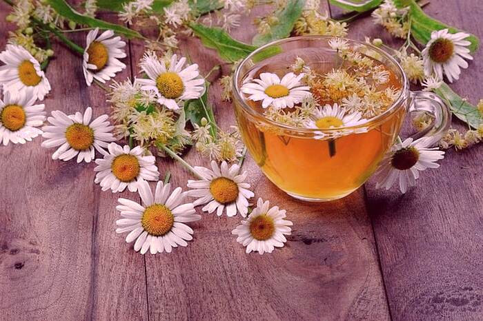 تقویت حافظه با تغذیه مناسب بابونه برای مغز