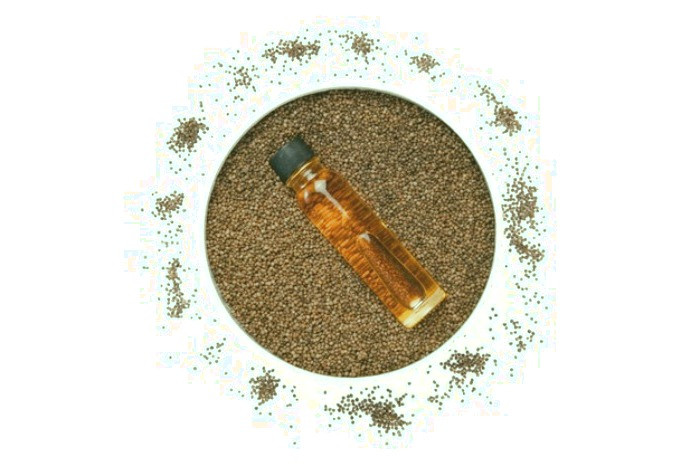 خواص سیاه دانه و روغن سیاه دانه روغن سیاه دانه