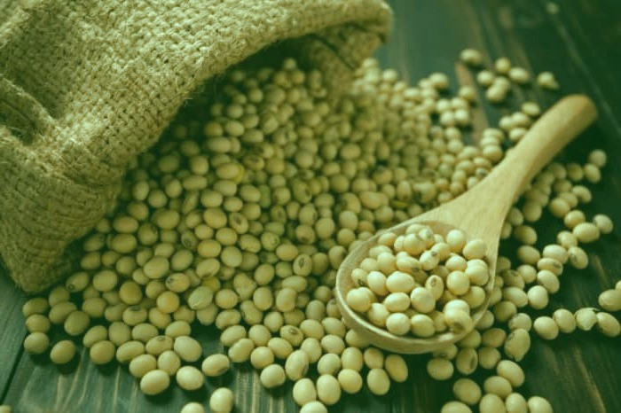 مصرف سویا چه خواصی دارد؟ سویا برای دیابت