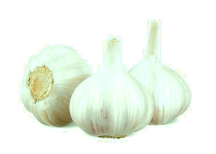 درمان و کاهش تب