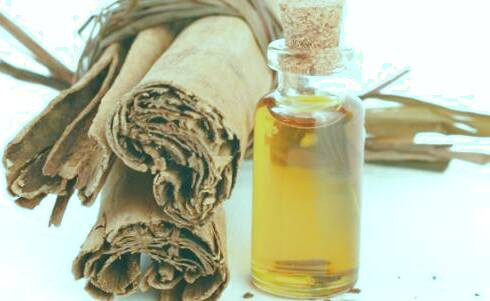 فواید و خواص روغن دارچین خواص روغن دارچین