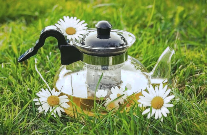 دمنوش بابونه