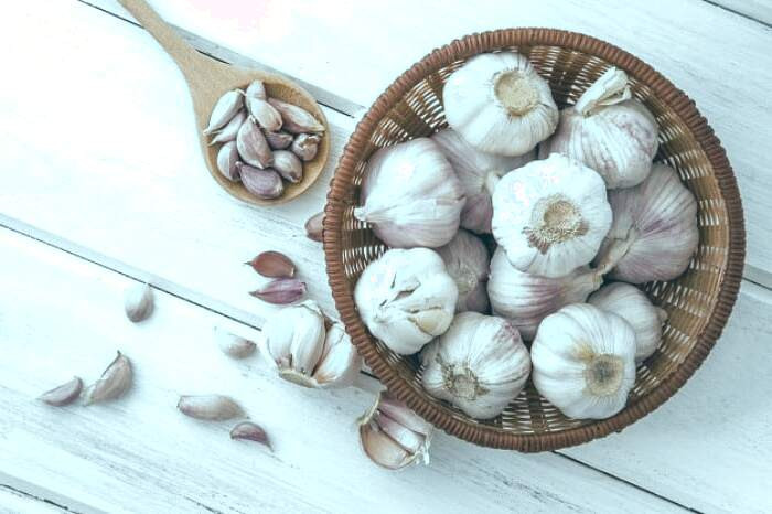 فواید سیر برای رشد مو خواص سیر