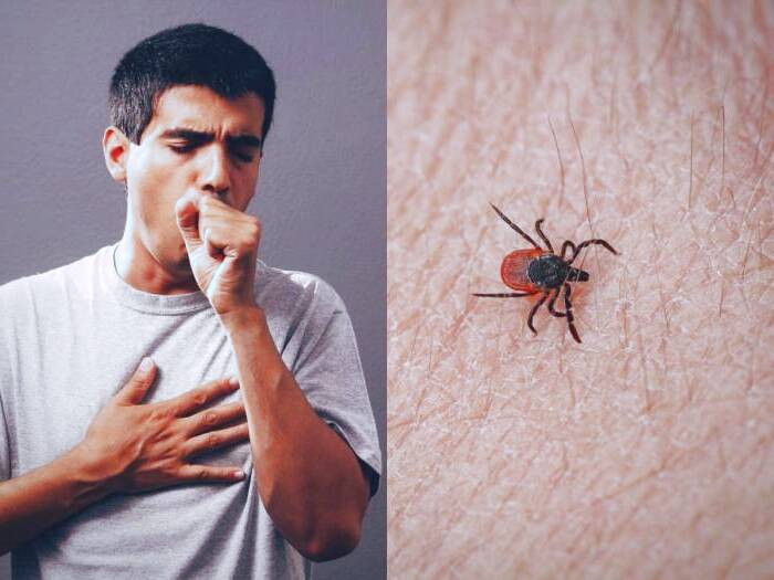 sfts virus انتشار ویروس SFTS