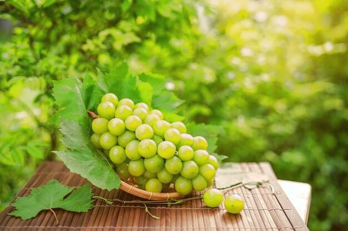 فواید انگور برای بارداری