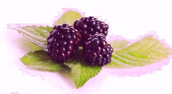 خواص بلک بری