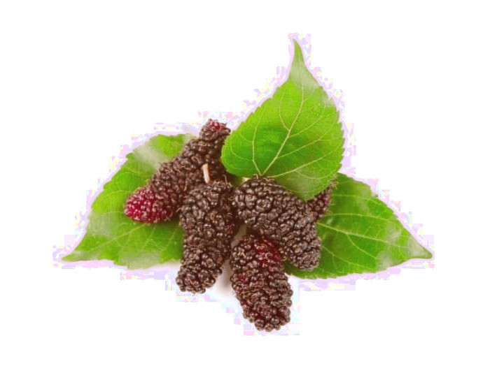 خاصیت بلک بری