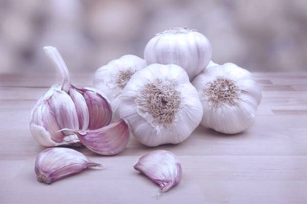 خواص سیر برای گوش