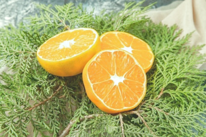 مصرف نارنج در بارداری 