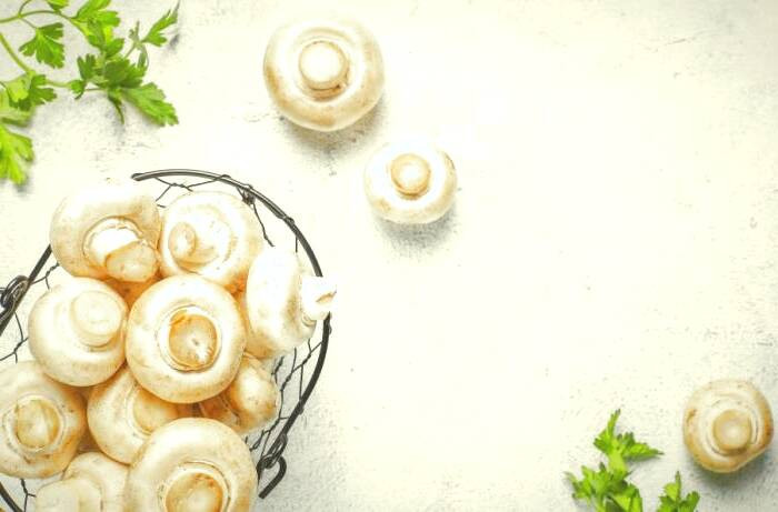 خوراکی های ریه 