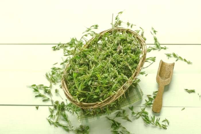 دارو گیاهی برای اعصاب دمنوش آویشن