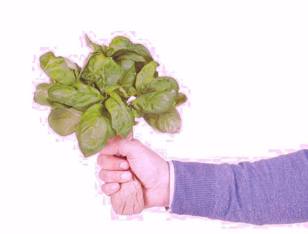 درمان زخم دهان 