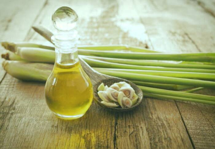 روغن علف لیمو