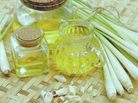 مصرف روغن علف لیمو