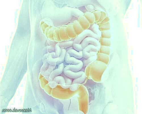 پاکسازی کولون روده بزرگ