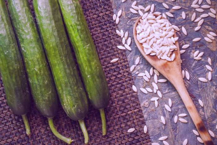 خواص تخم خیار