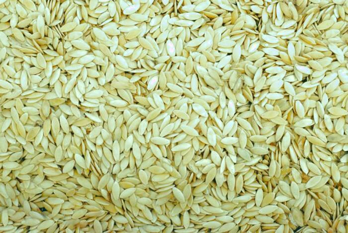 خواص تخم خیار