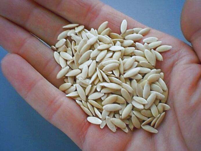 خواص تخم خیار