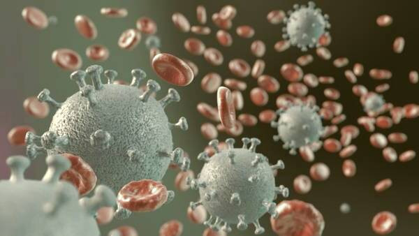 سیستم ایمنی بدن