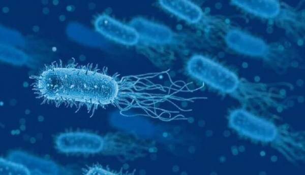 باکتری پوسیدگی دندان