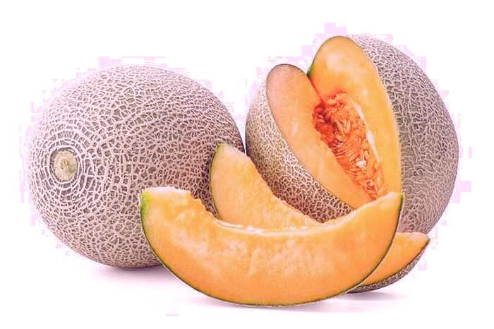 طالبی