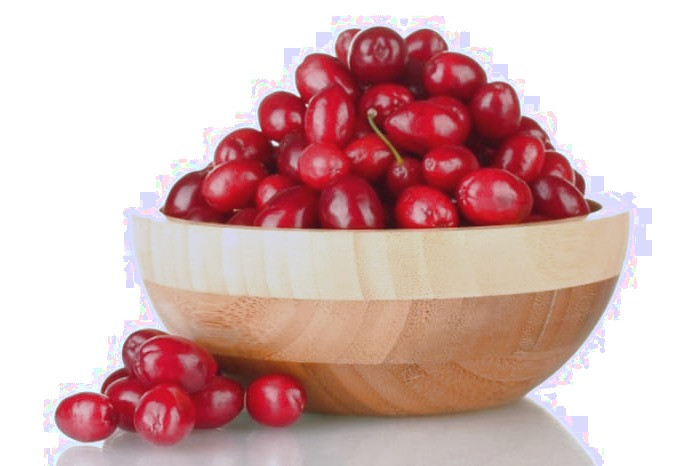 خواص آب زغال اخته