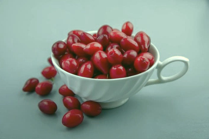 آب زغال اخته برای پوست 