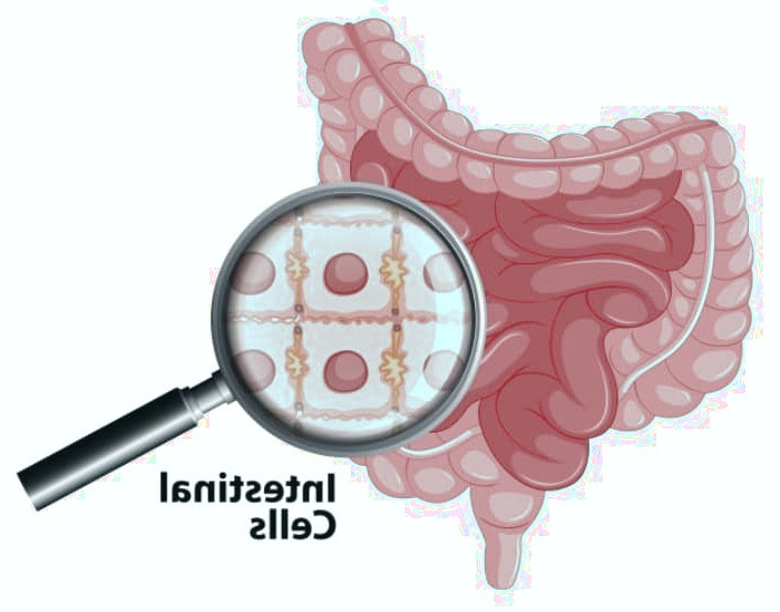 تغییر باکتری های روده