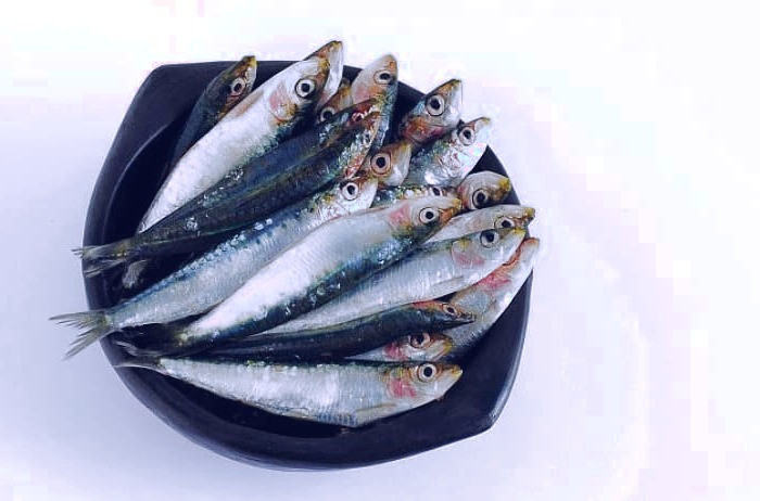 فواید ماهی ساردین